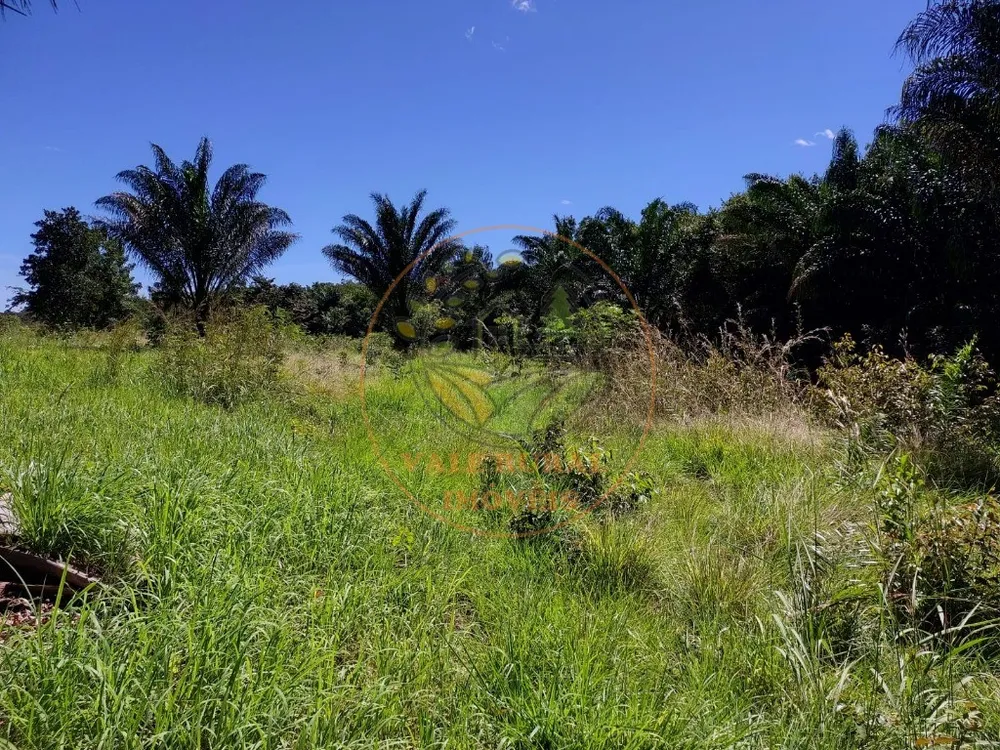 Fazenda - Foto 4