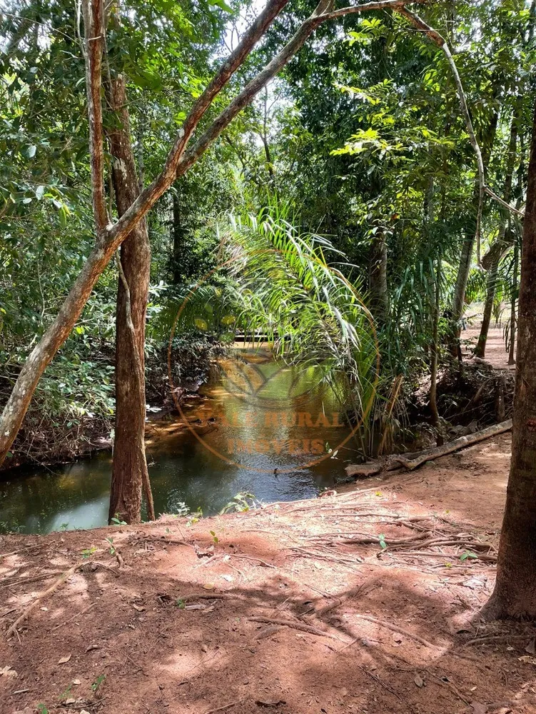Fazenda - Foto 11
