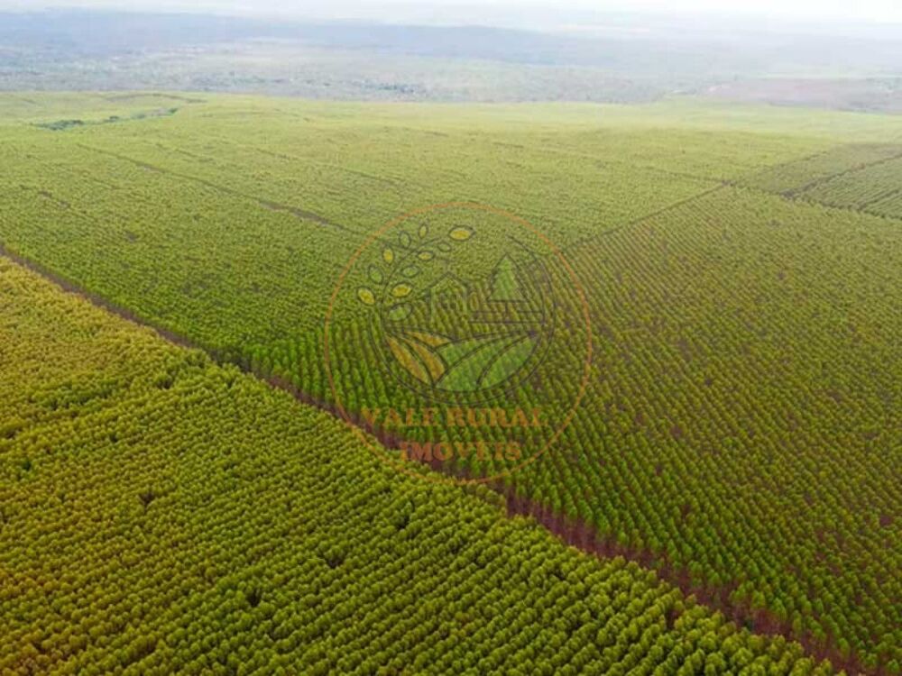 Fazenda à venda com 4 quartos, 440m² - Foto 2
