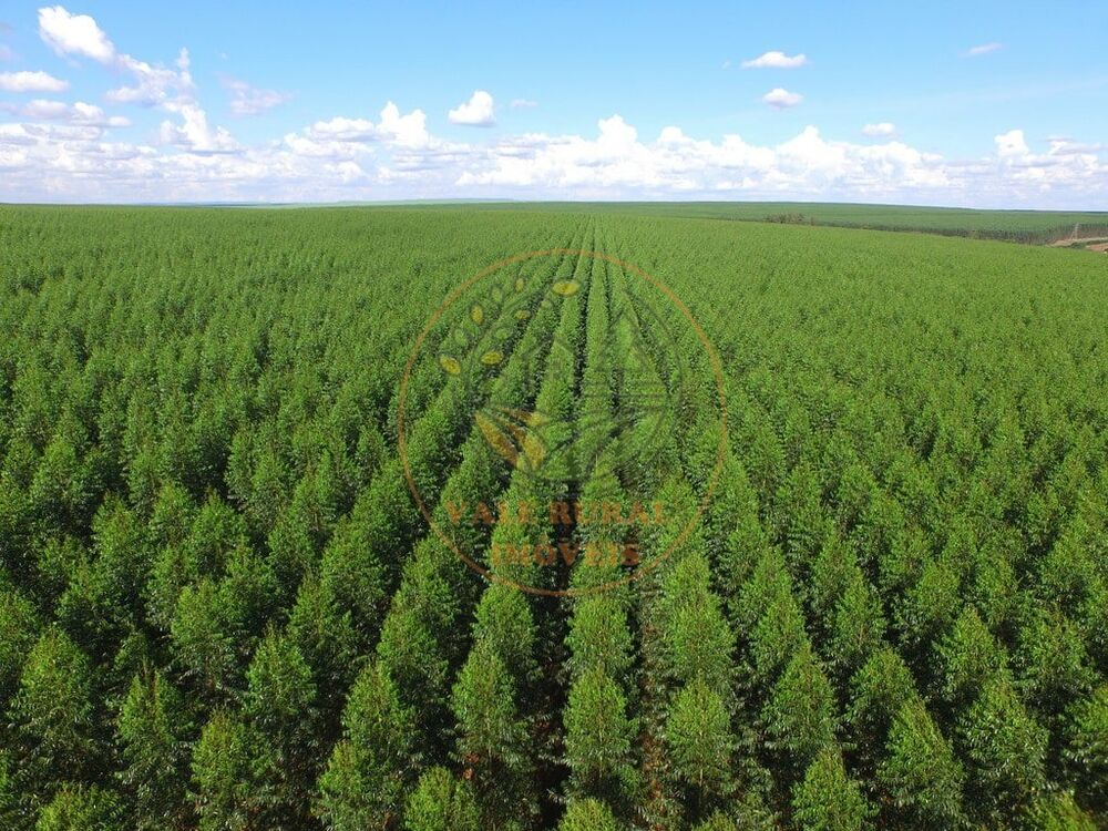 Fazenda à venda com 4 quartos, 440m² - Foto 4