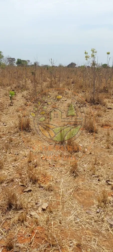 Fazenda, 1 hectares - Foto 11