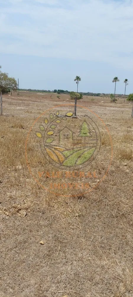 Fazenda, 1 hectares - Foto 12