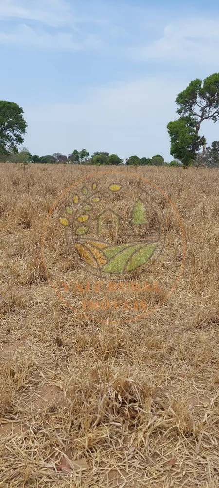 Fazenda, 1 hectares - Foto 7