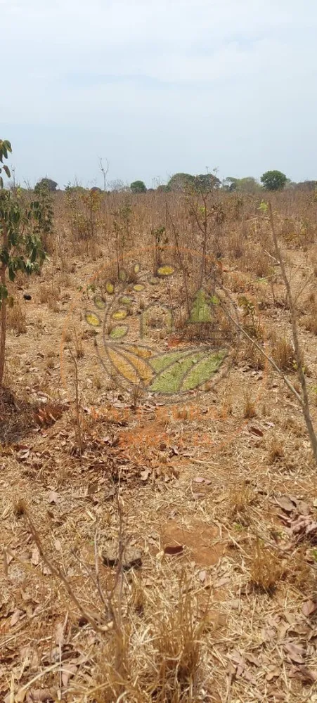 Fazenda, 1 hectares - Foto 10