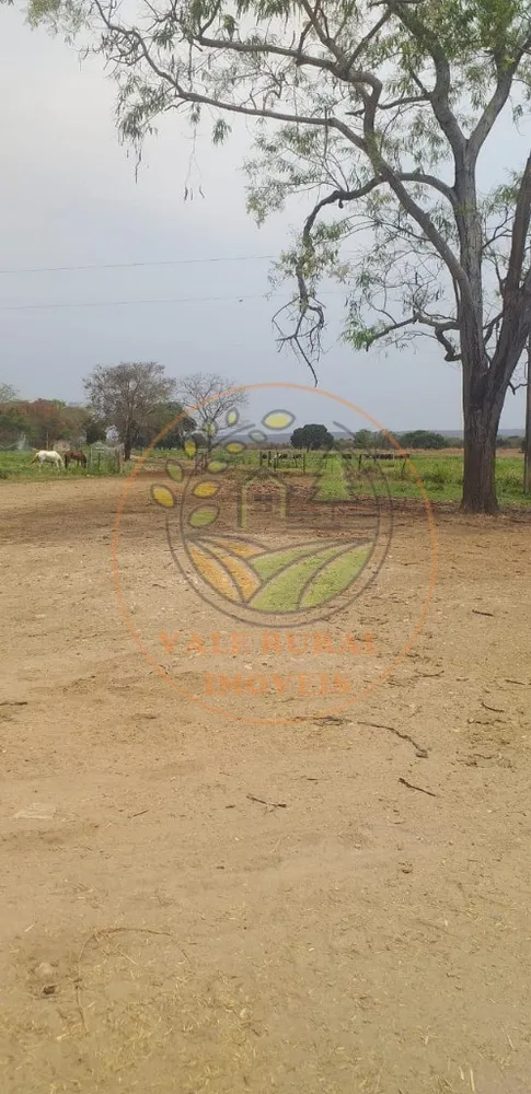 Fazenda, 1 hectares - Foto 8