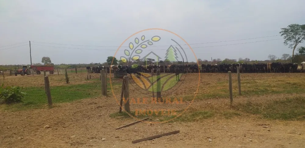 Fazenda, 1 hectares - Foto 3