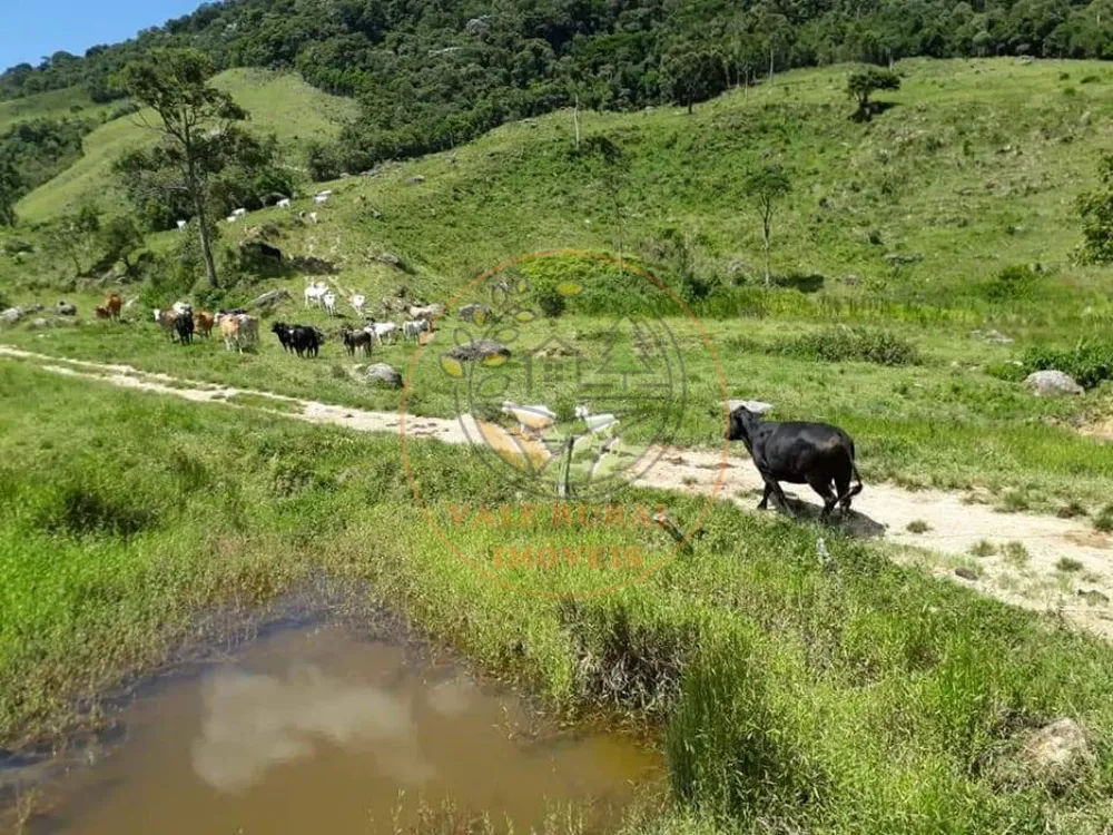 Fazenda, 72 m² - Foto 12