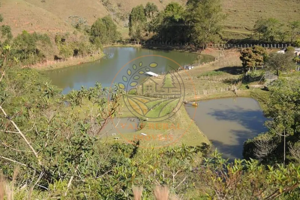 Sítio, 5 quartos, 3 hectares - Foto 11