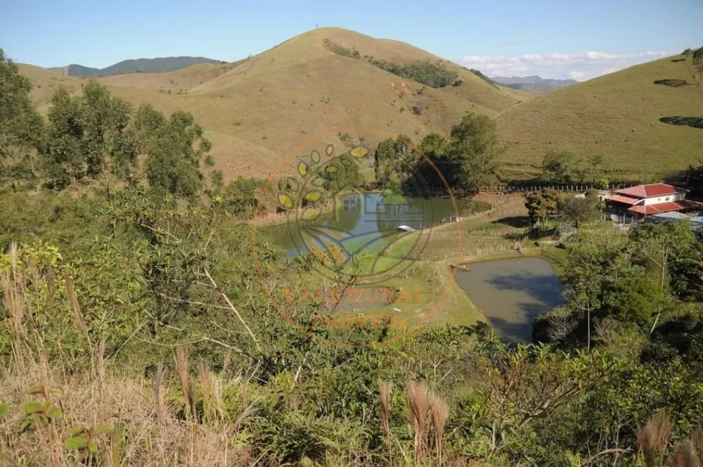Sítio, 5 quartos, 3 hectares - Foto 10