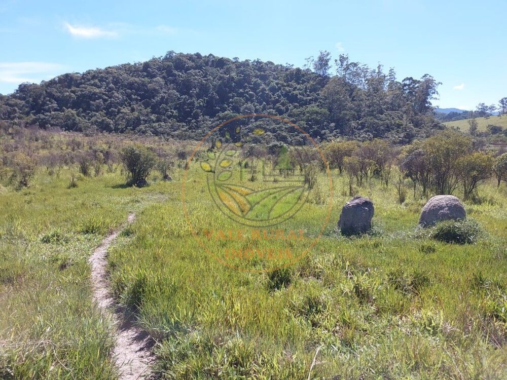 Fazenda, 2 hectares - Foto 4
