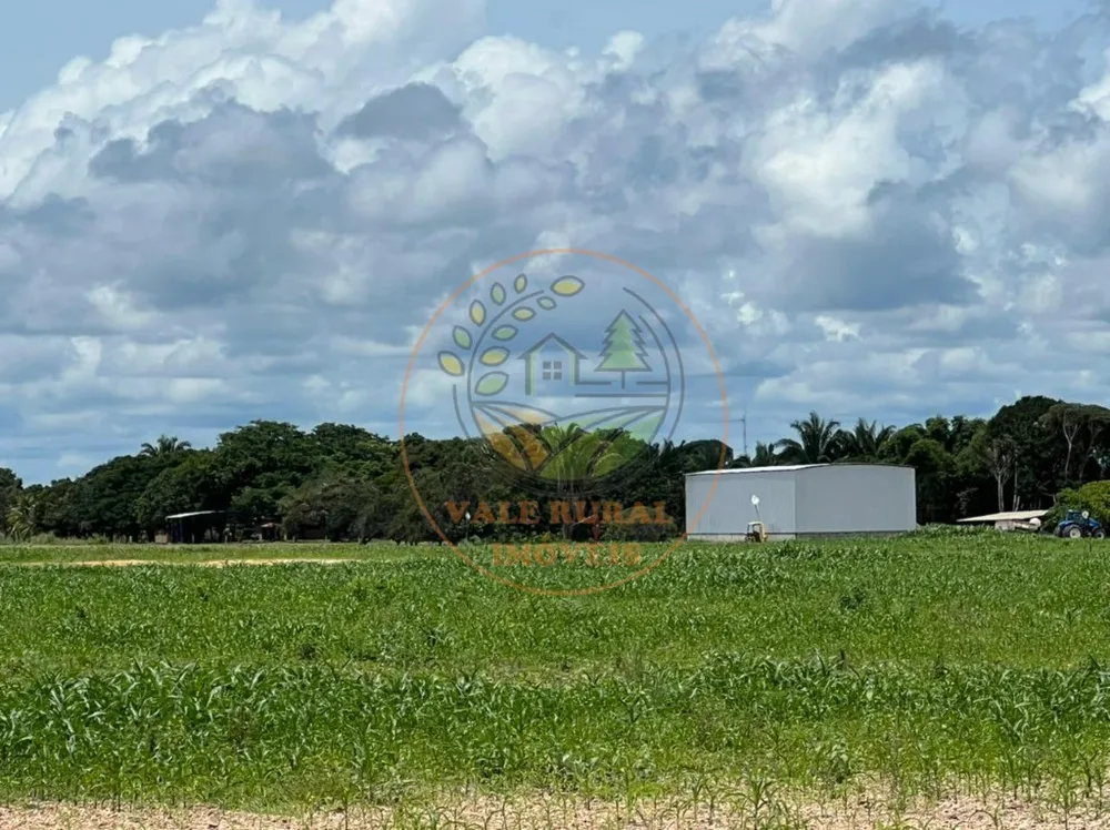 Fazenda, 6 quartos - Foto 9