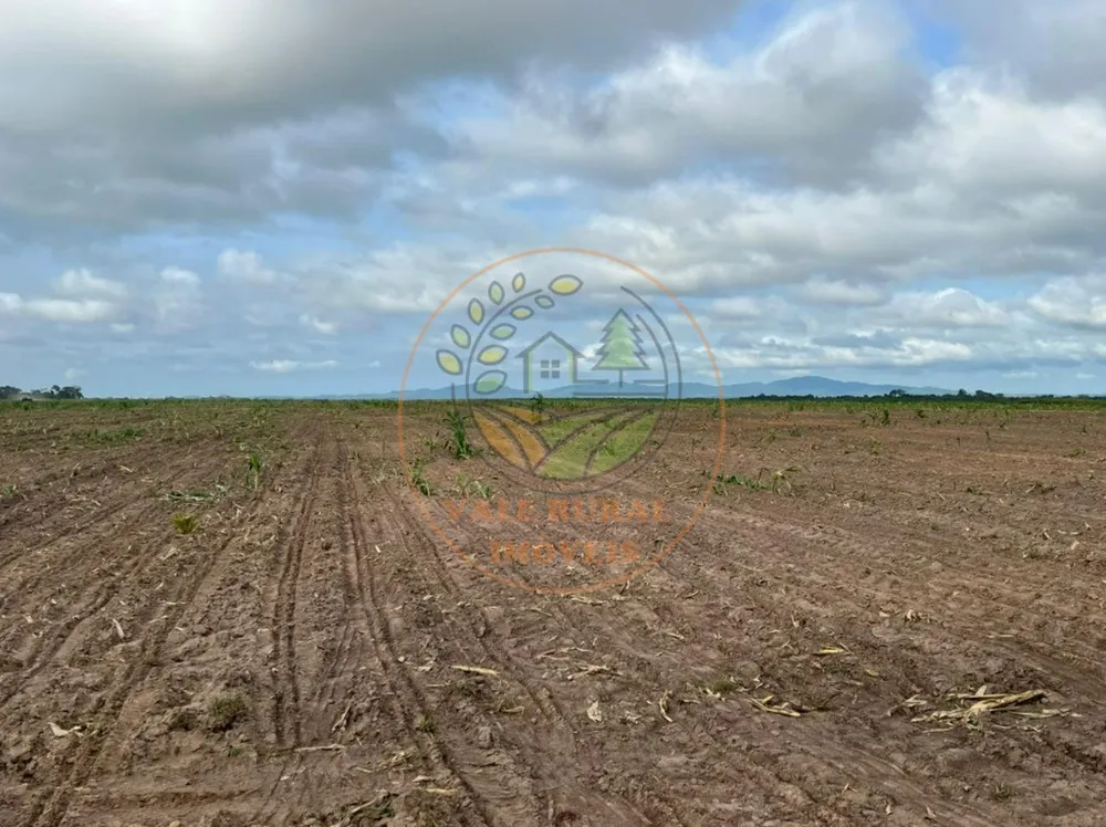 Fazenda, 6 quartos - Foto 8