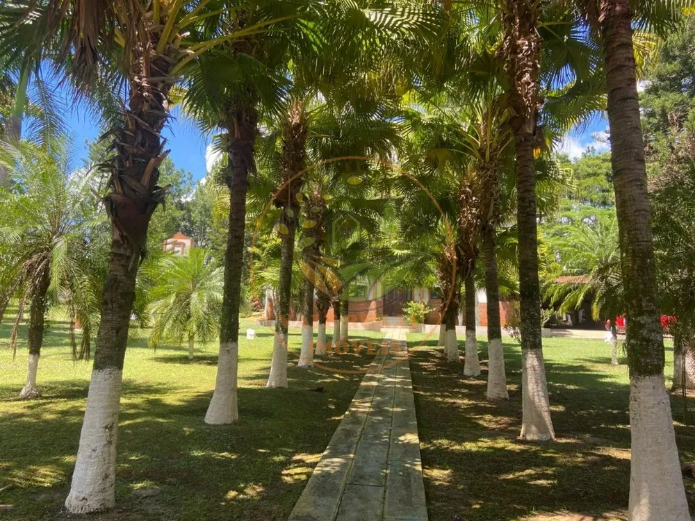 Chácara, 10 quartos, 9300 m² - Foto 4