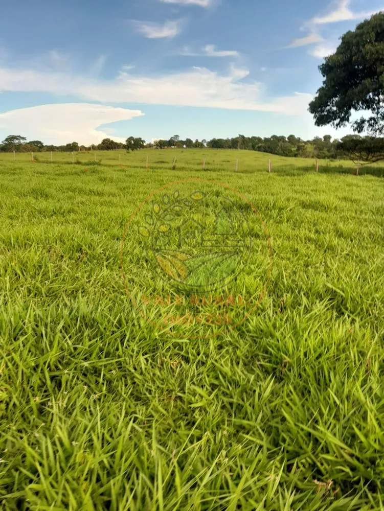 Fazenda - Foto 6