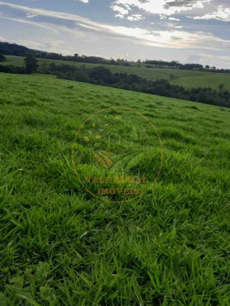 Fazenda - Foto 7