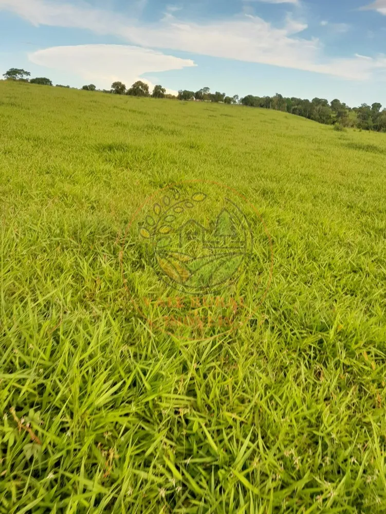 Fazenda - Foto 4