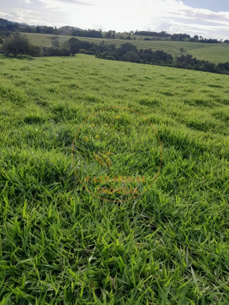 Fazenda - Foto 5