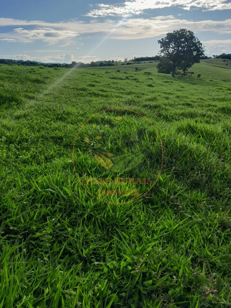 Fazenda - Foto 3