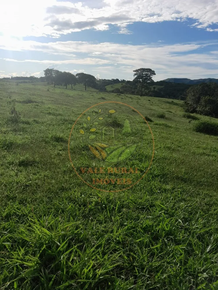 Fazenda - Foto 11