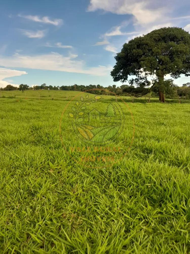 Fazenda - Foto 1