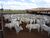 Fazenda-Sítio-Chácara, 2 quartos - Foto 2