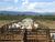 Fazenda-Sítio-Chácara, 2 quartos - Foto 1