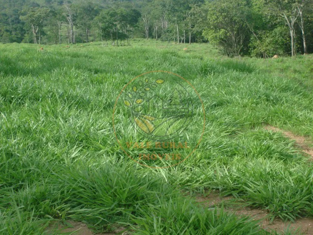 Fazenda, 607 m² - Foto 10