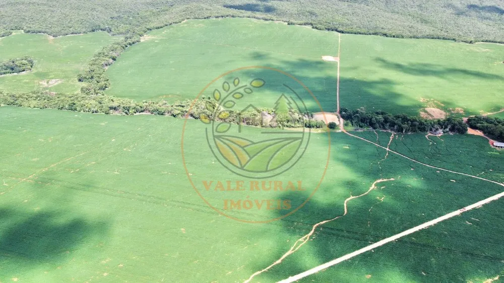 Fazenda - Foto 6