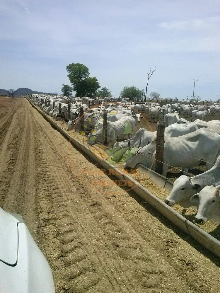 Fazenda à venda - Foto 1