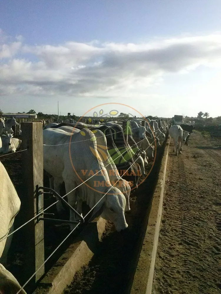 Fazenda à venda - Foto 3