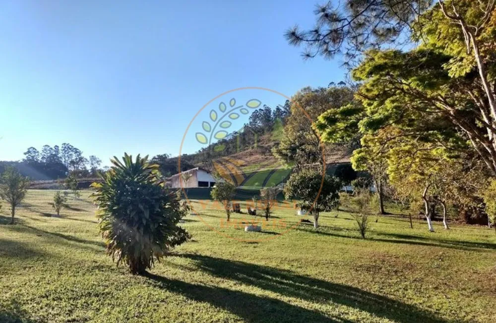 Sítio, 4 quartos, 7 hectares - Foto 4