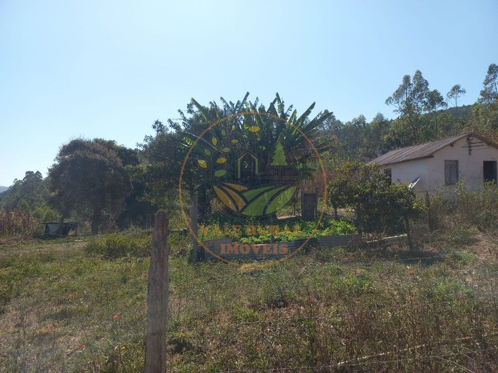 Sítio - Foto 1