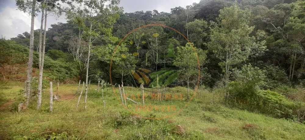 Fazenda - Foto 7