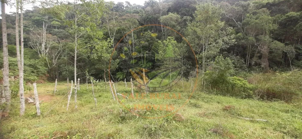 Fazenda - Foto 6