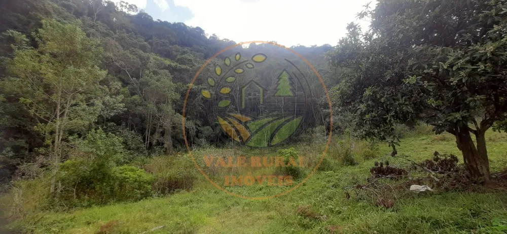 Fazenda - Foto 10