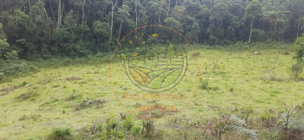 Fazenda - Foto 2