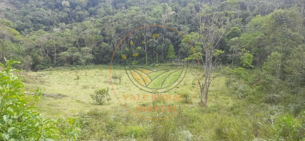 Fazenda - Foto 4