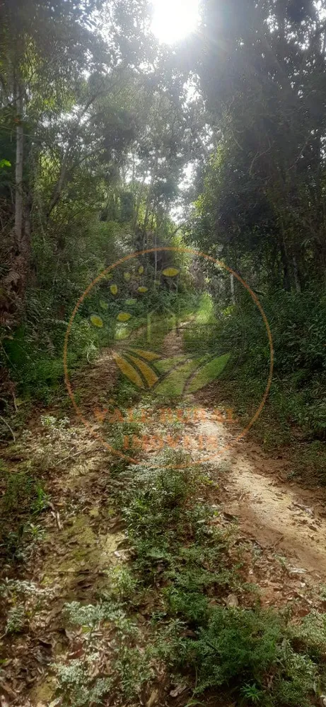 Fazenda - Foto 11