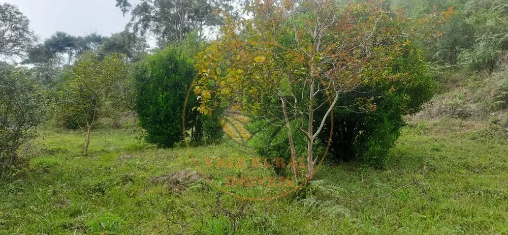 Fazenda - Foto 9