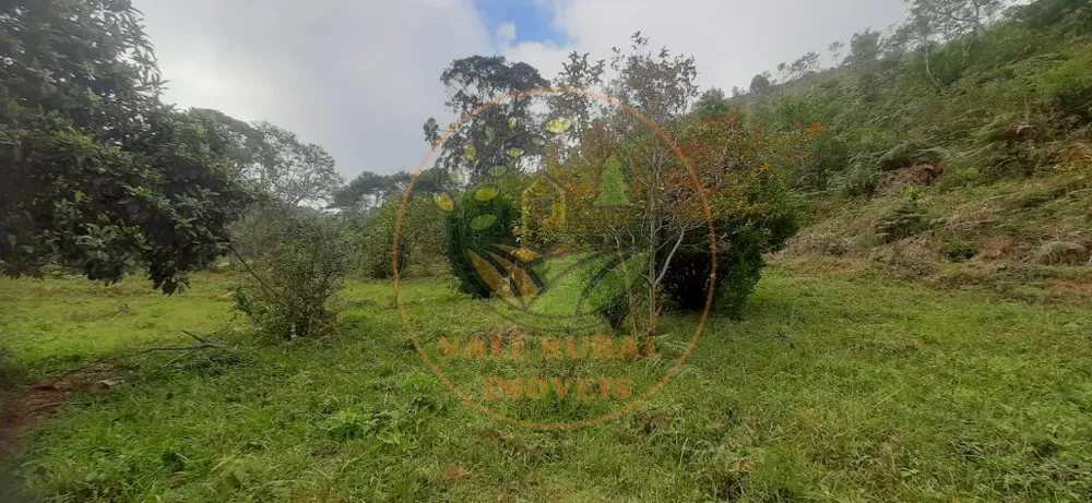 Fazenda - Foto 5