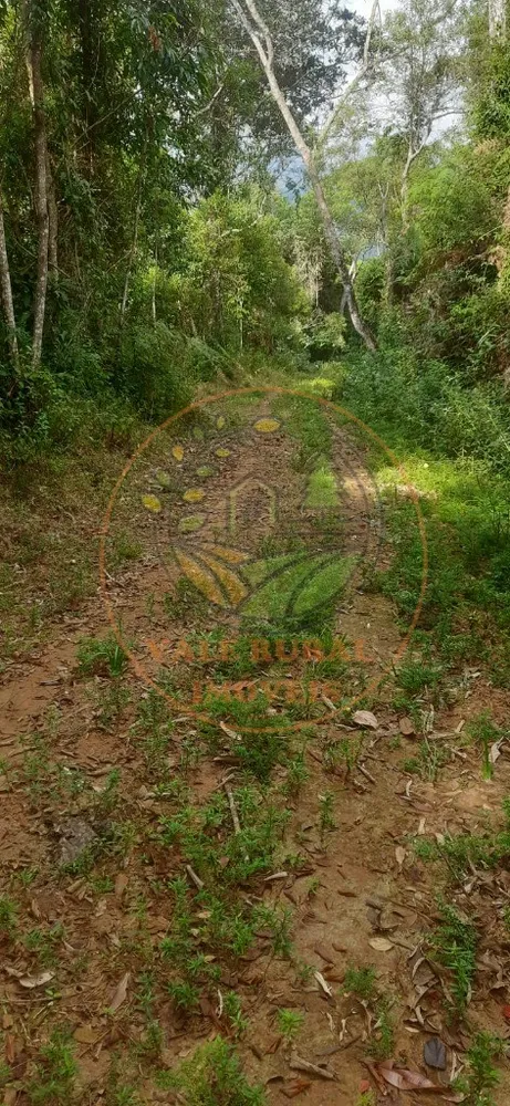 Fazenda - Foto 15