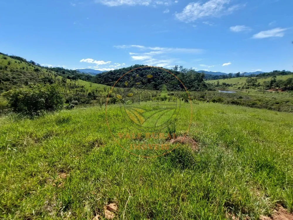 Fazenda, 2 hectares - Foto 4