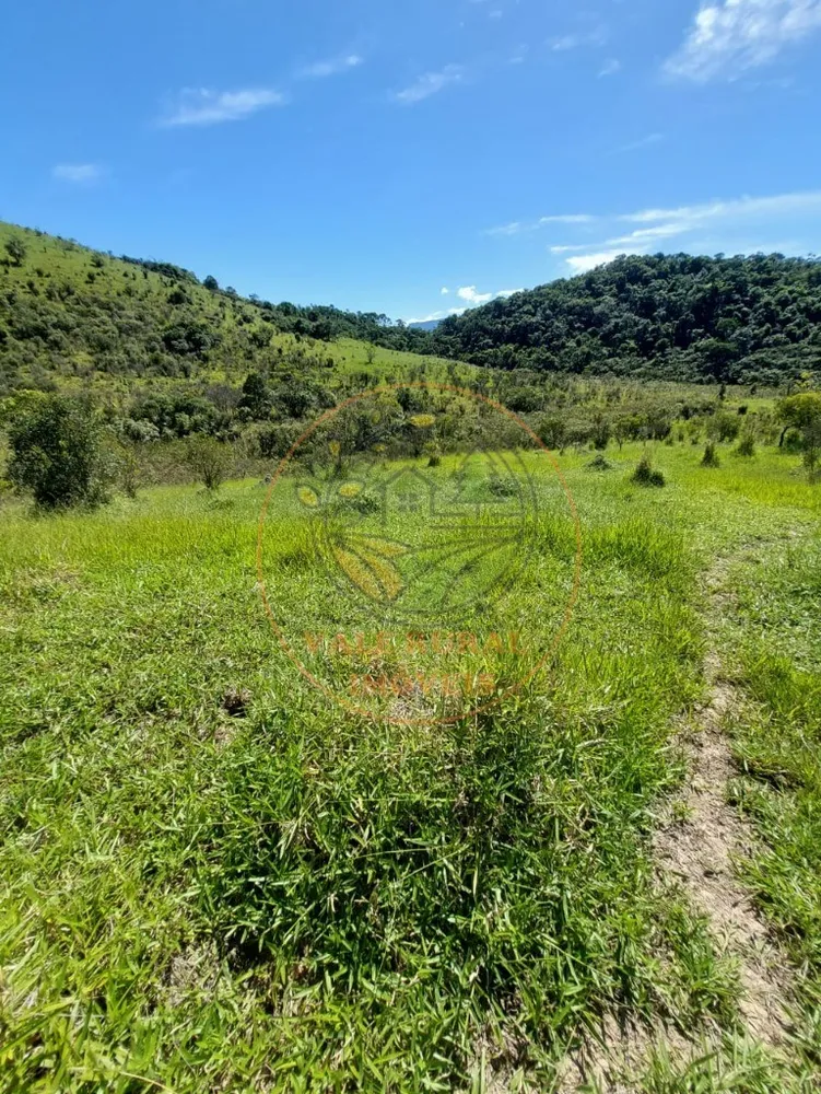 Fazenda, 2 hectares - Foto 6