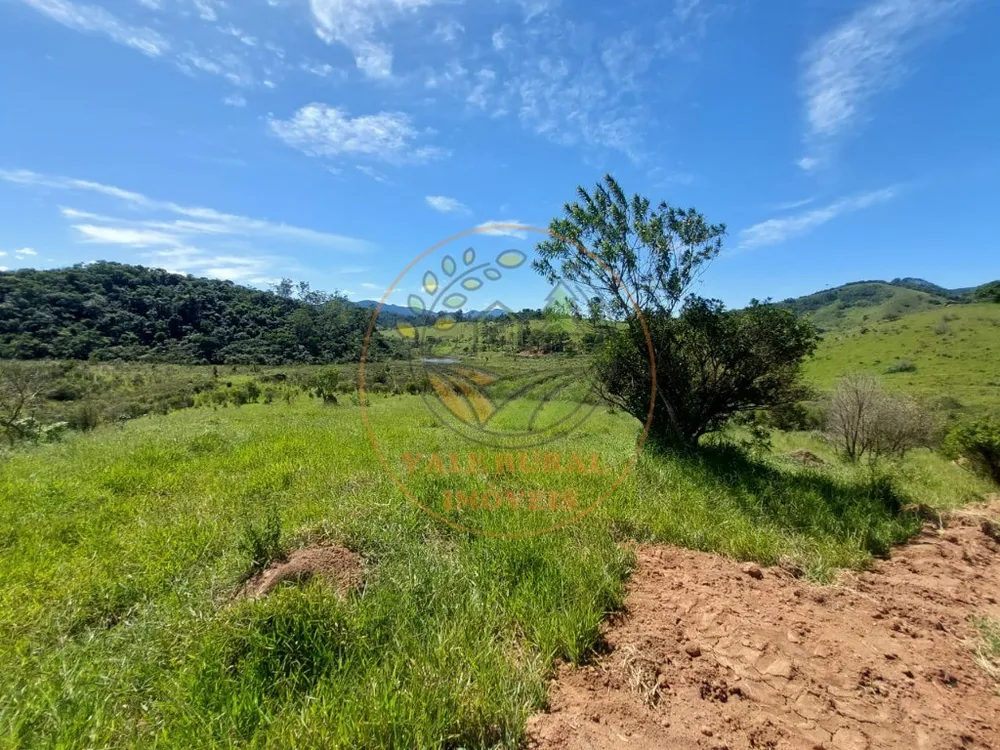 Fazenda, 2 hectares - Foto 8