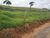 Fazenda, 2 quartos - Foto 2