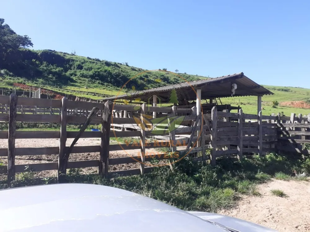 Fazenda - Foto 4