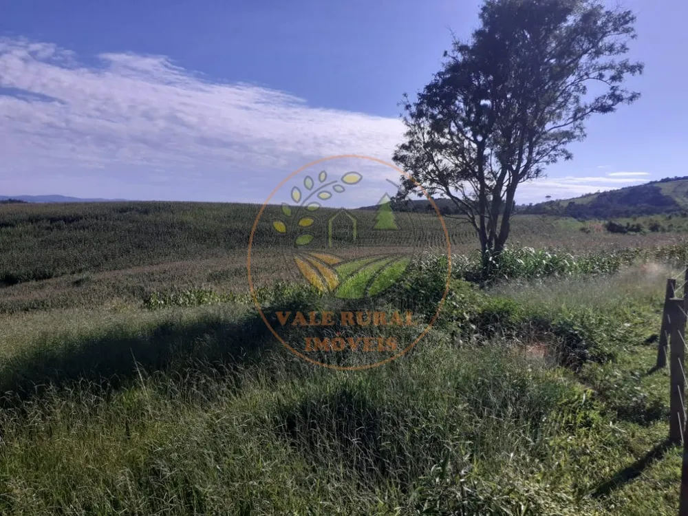 Fazenda - Foto 11