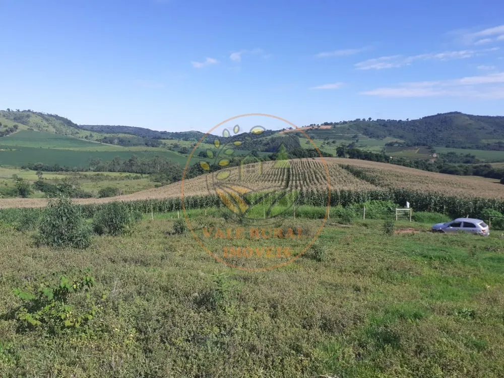 Fazenda - Foto 5