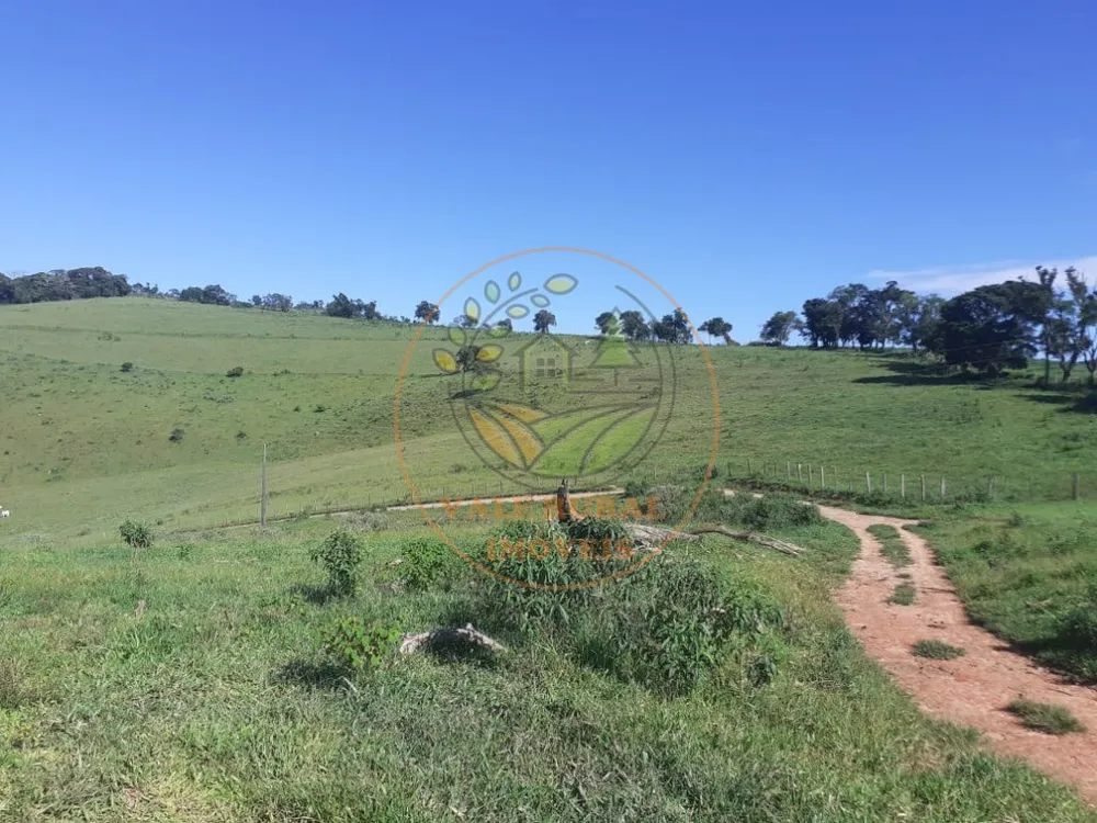 Fazenda - Foto 6