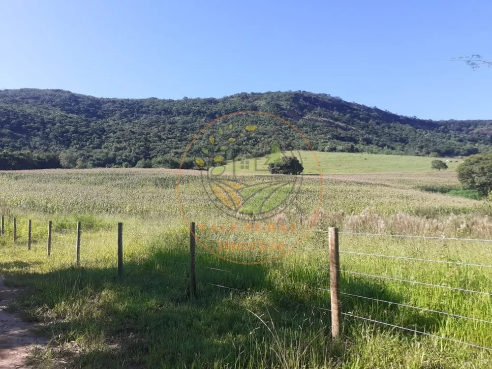 Fazenda - Foto 8